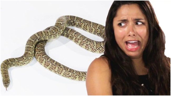 девушка боится змею